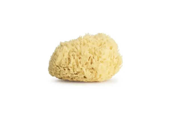 Goldwabenschwamm 5,5"