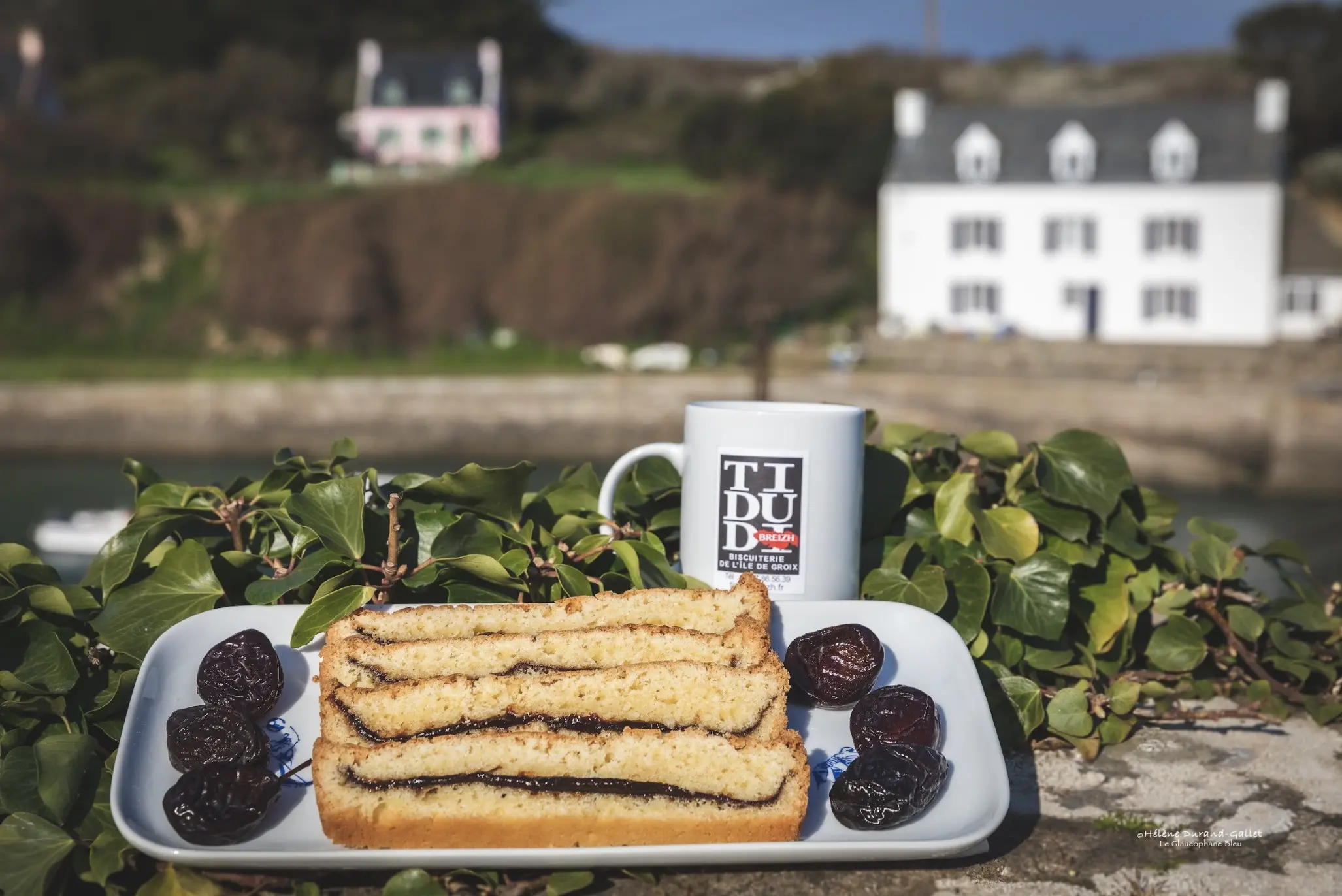 PRUNE BRETON CAKE