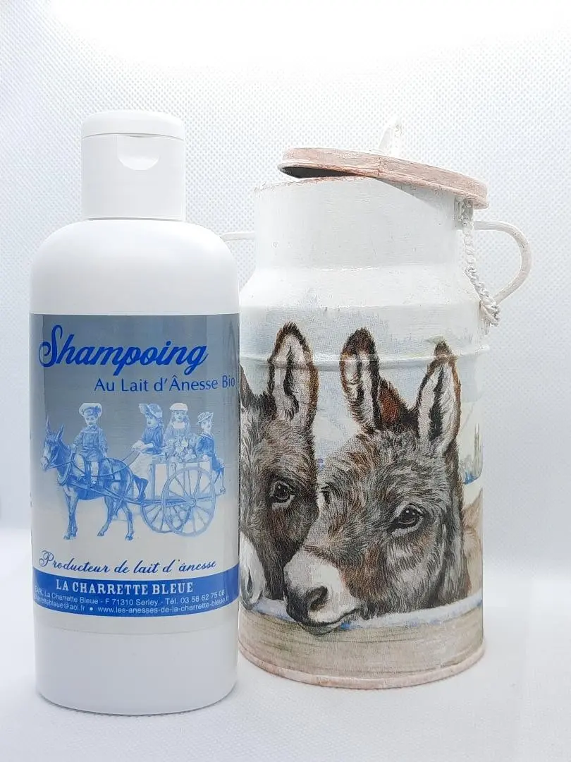 Shampoo