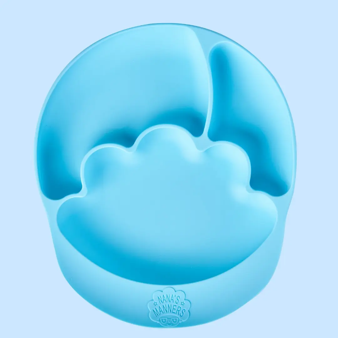 Stage 2 - Suction and Sections plate - Blue