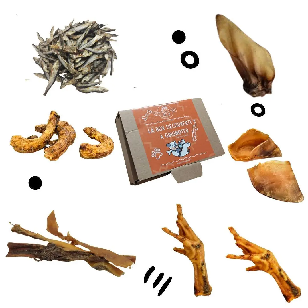 Snack discovery box