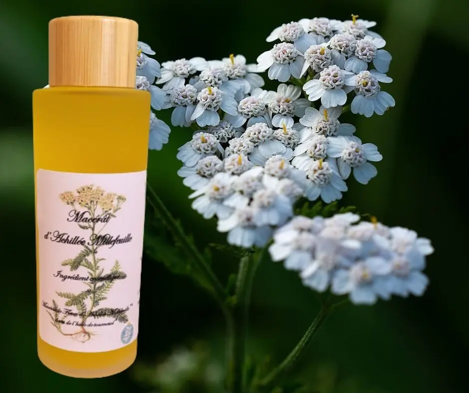 Aceite para el cuidado de la milenrama