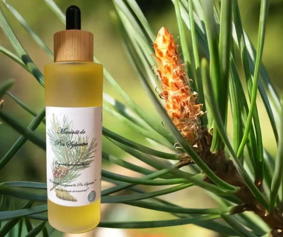 Aceite de cuidado de pino silvestre
