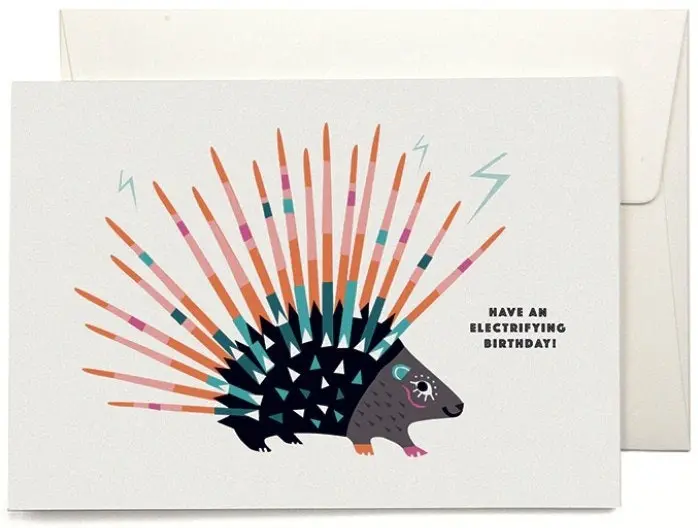 VIVA Porcupine Greeting Card