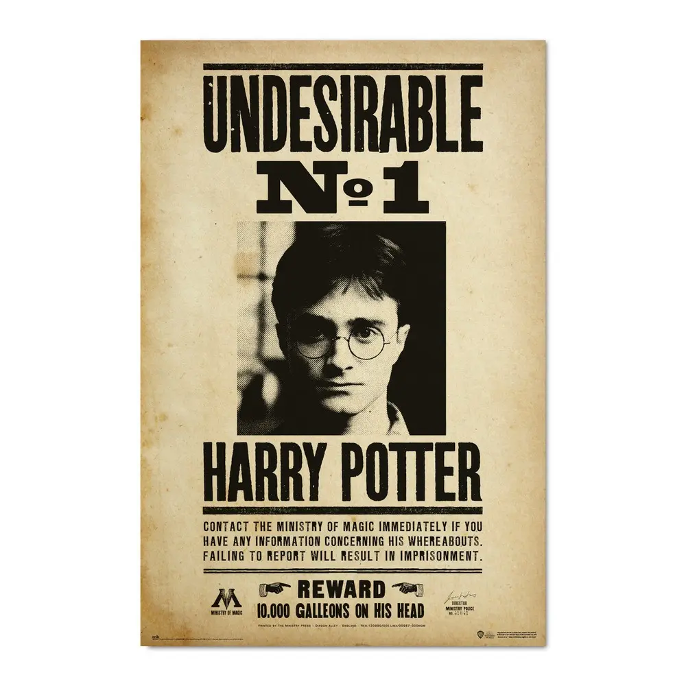 Harry Potter (P0510-PL-6191)