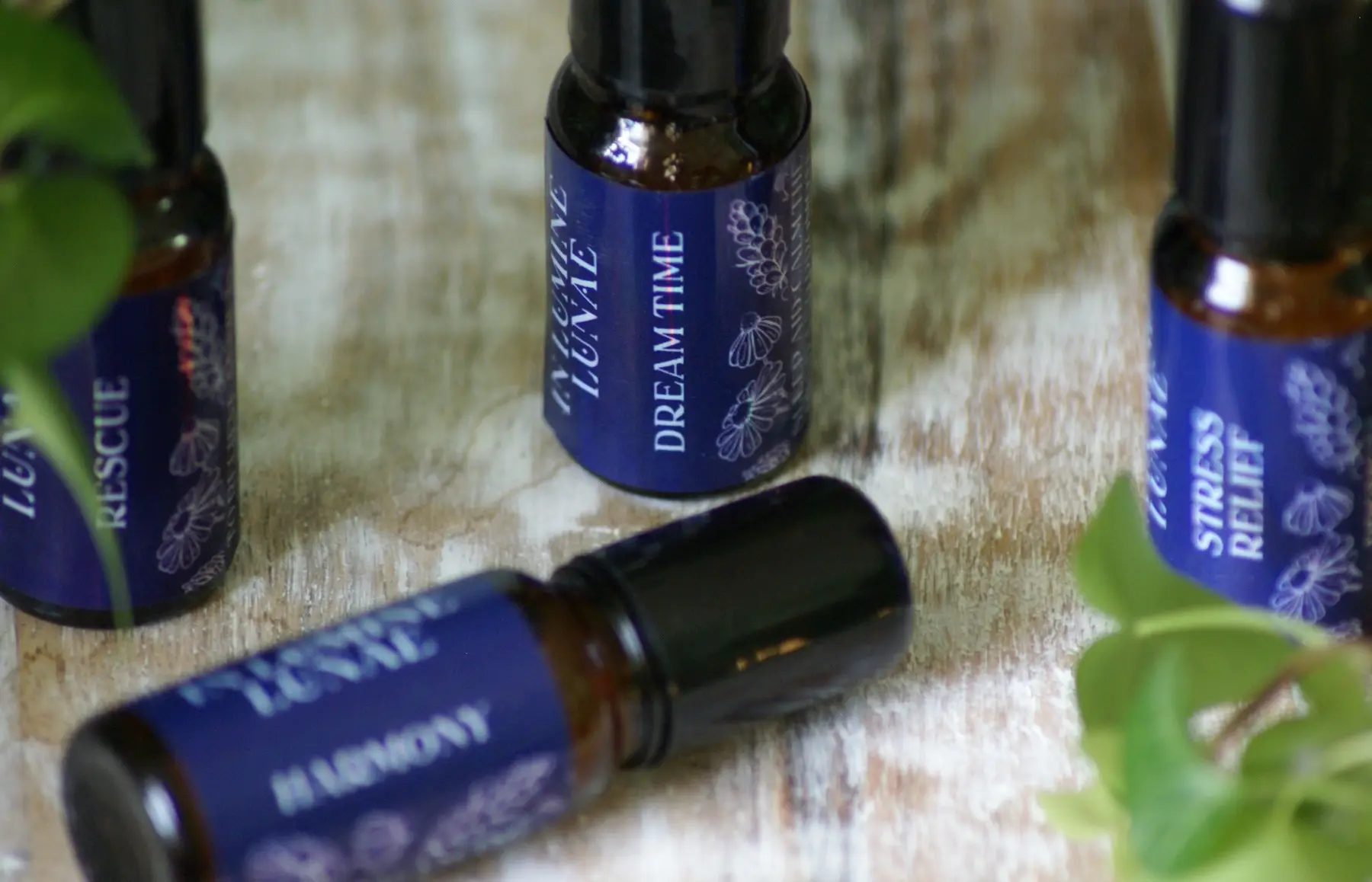 Dreamtime aromatherapy oil