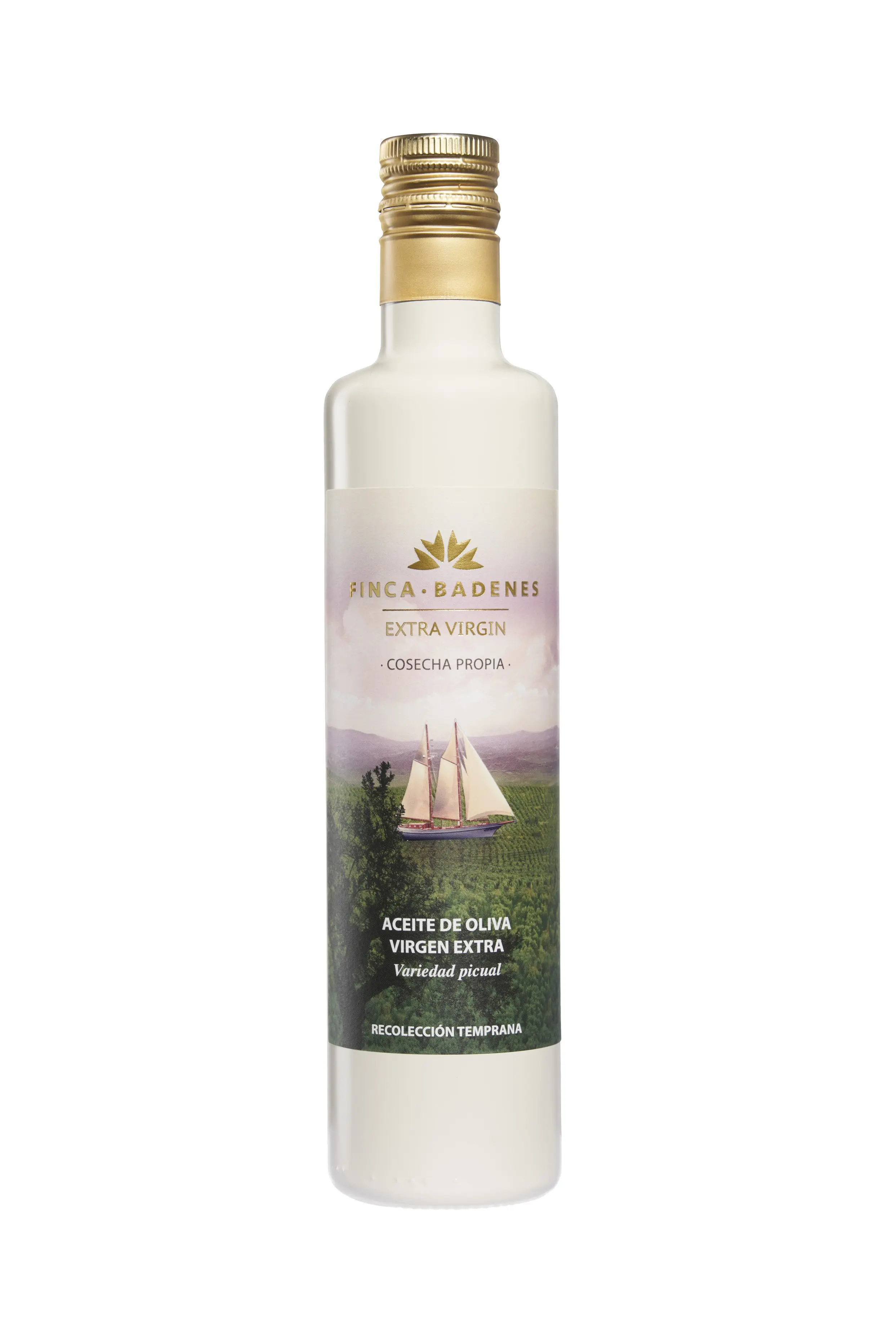 12 units, Finca Badenes PICUAL early harvest EVOO, pack of 12 bottles of 500ml