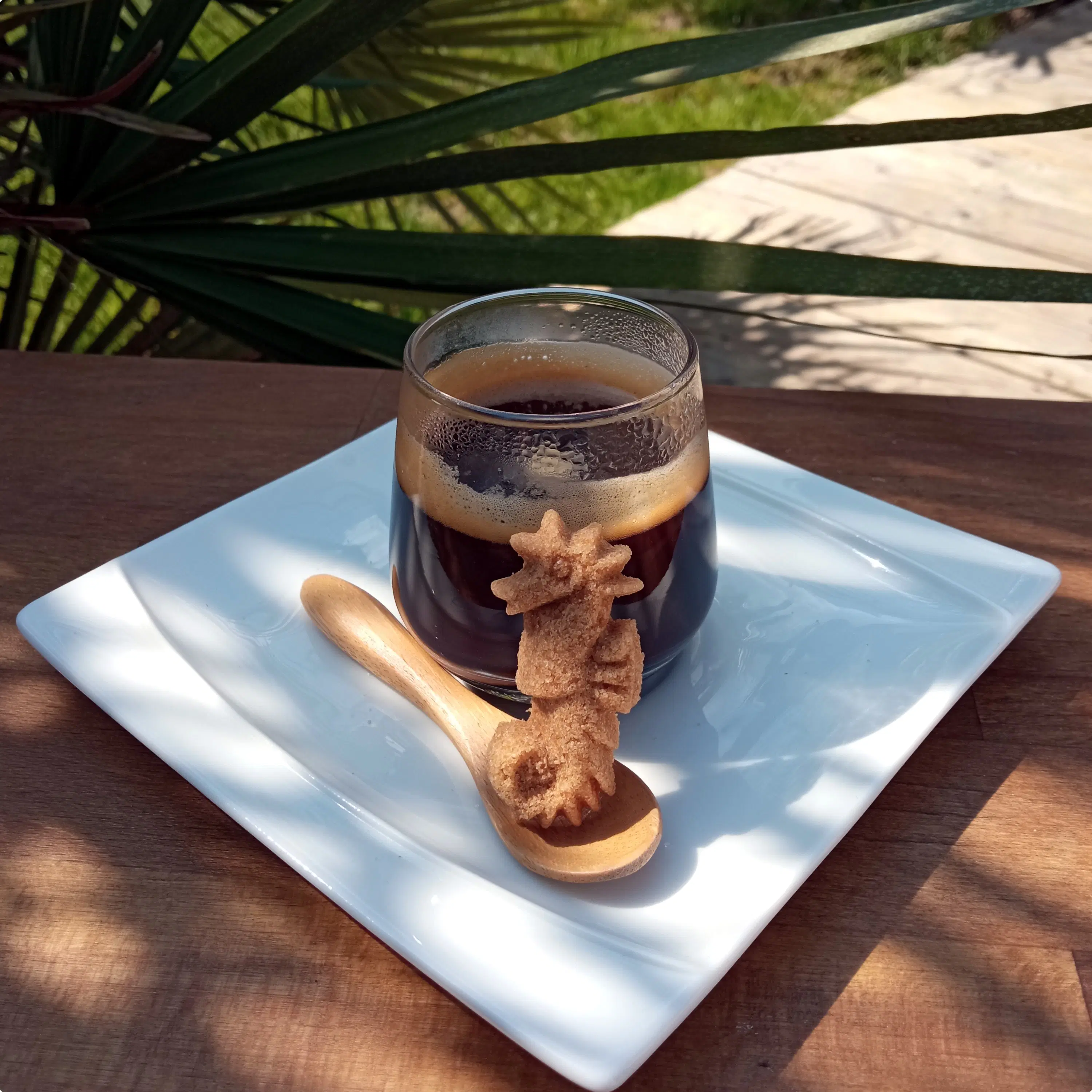 Brown seahorse sugar x200 individually bagged sugars
