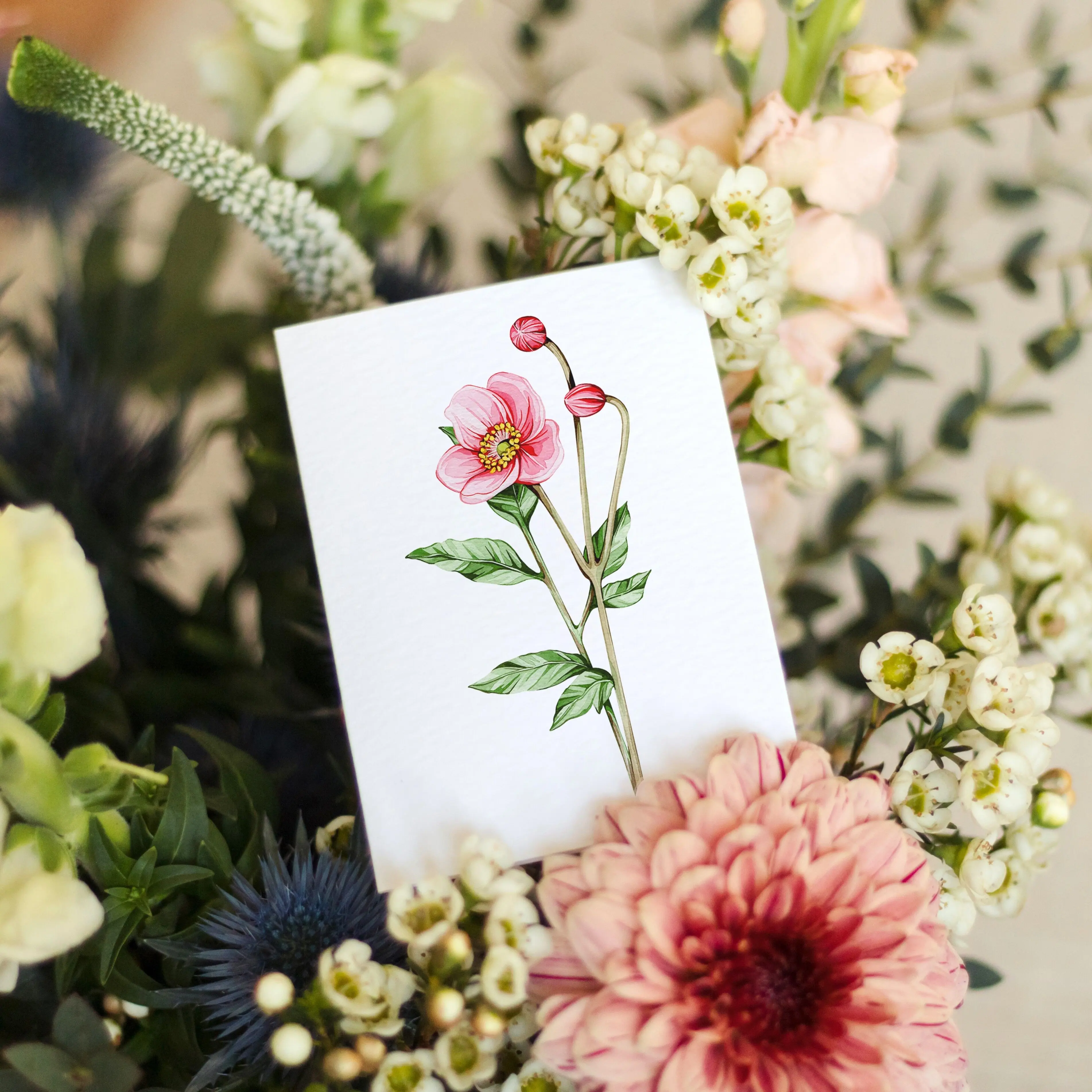 Mini Anemone Watercolour Sustainable Greetings Card