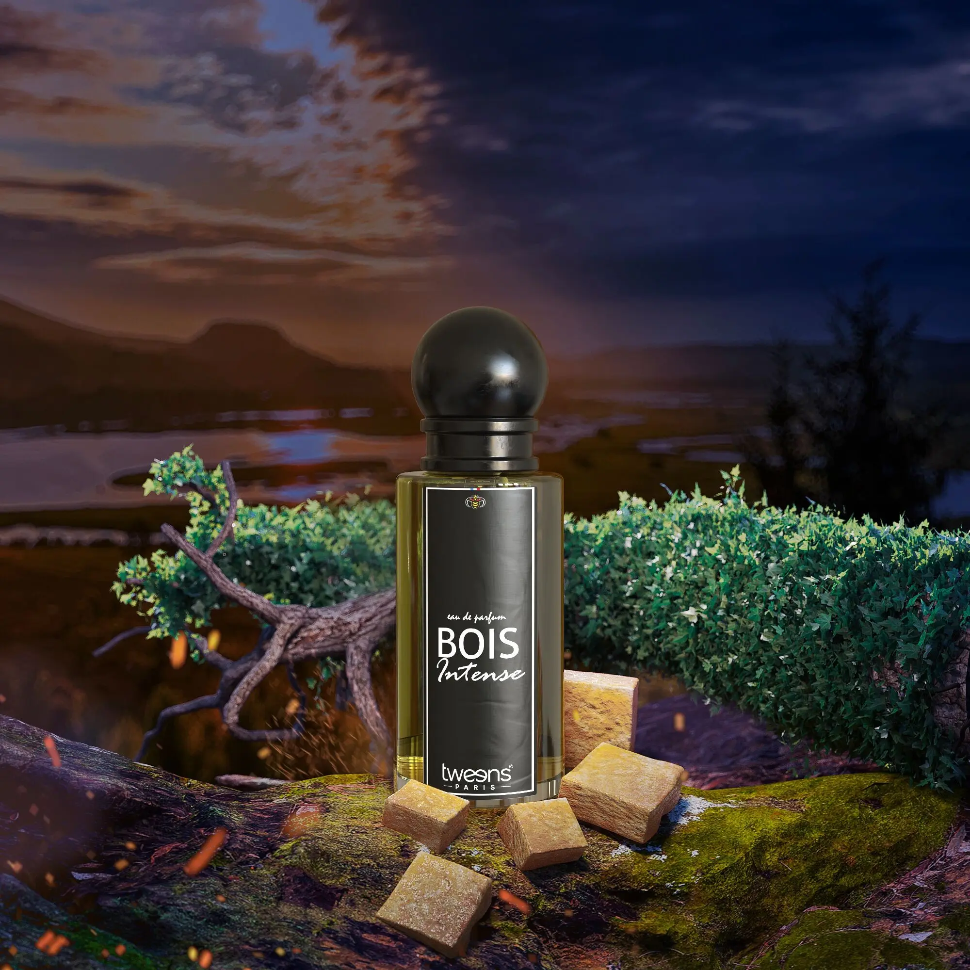 BOIS INTENSE- Perfume private collection