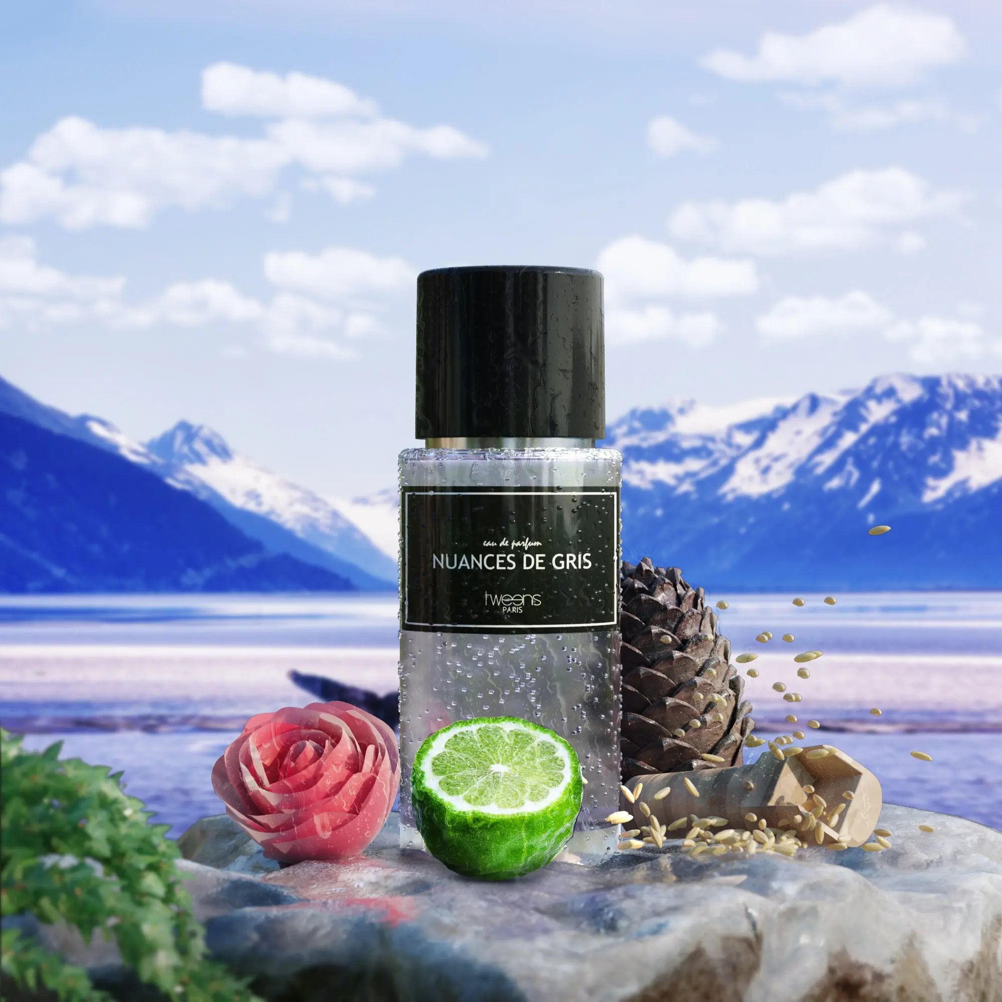 SHADES OF GRAY- Perfume private collection