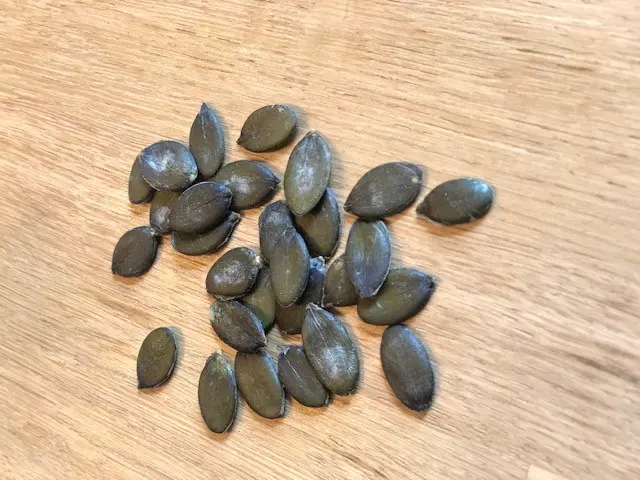 Raw pumpkin seeds BULK 1.5kg