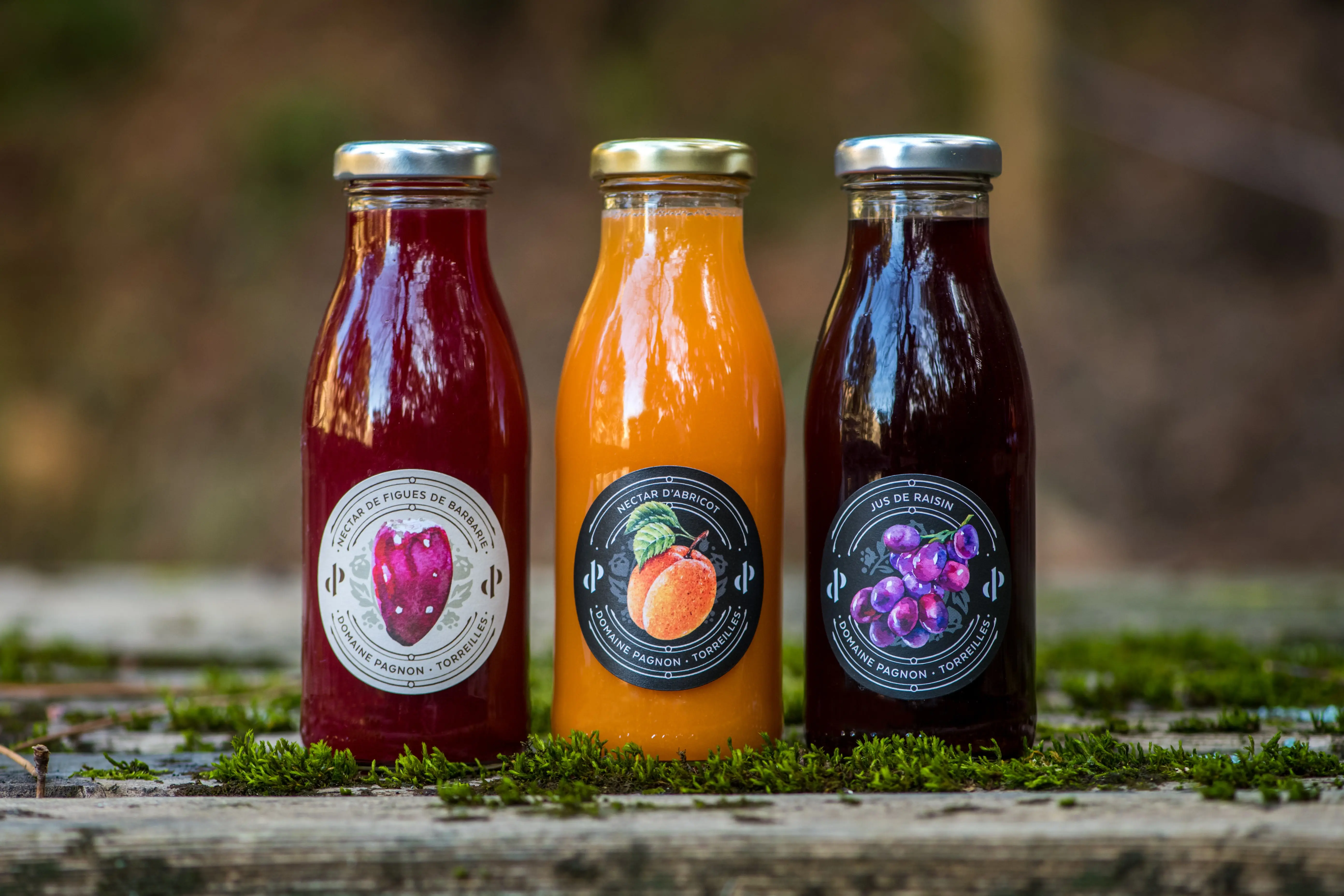 Jus de fruits - Nectar de figues de barbarie Bio - 25 cl