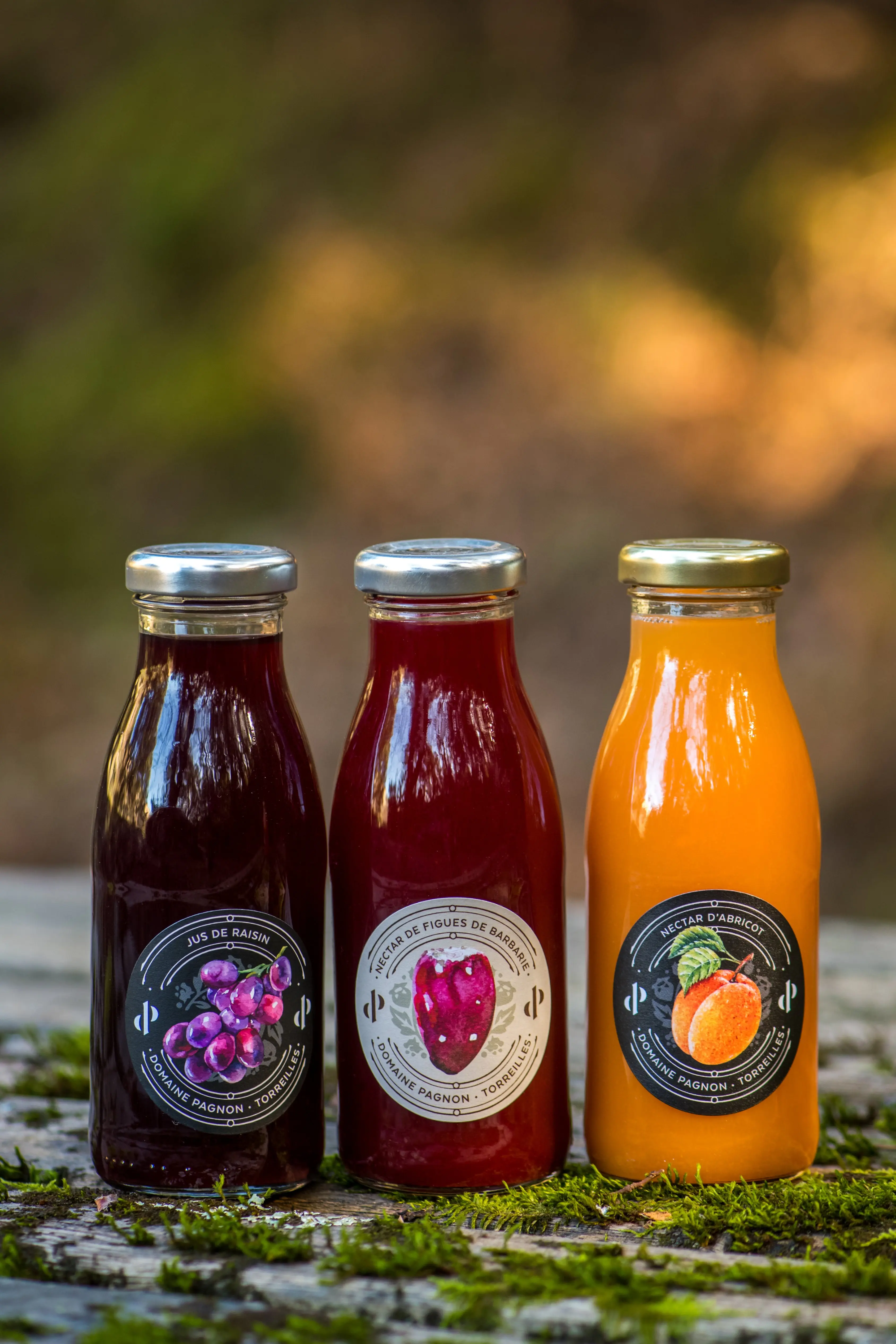 Fruit juice - Organic grape juice 25 cl
