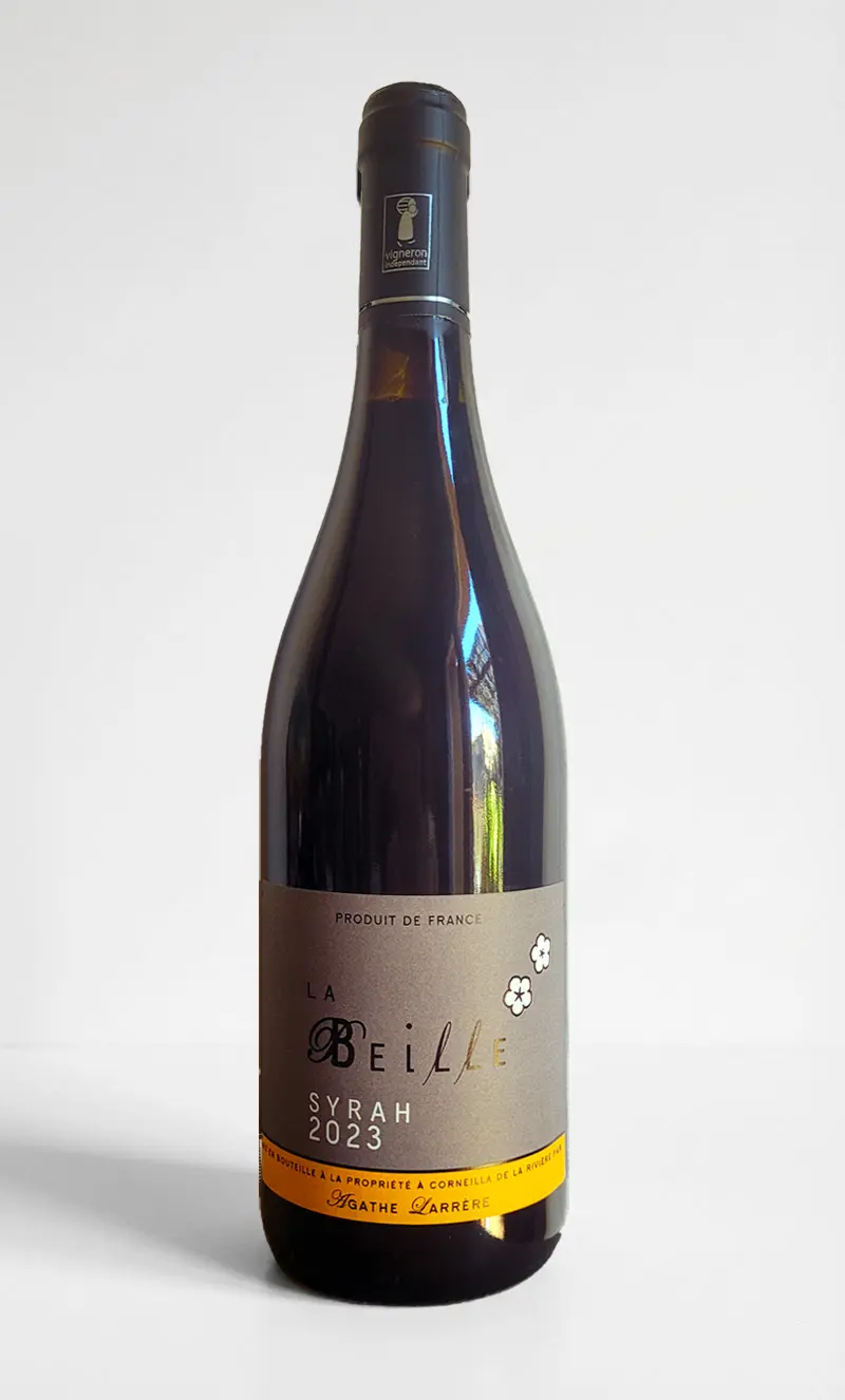 Syrah - millésime 2023- 75cl - vin biologique