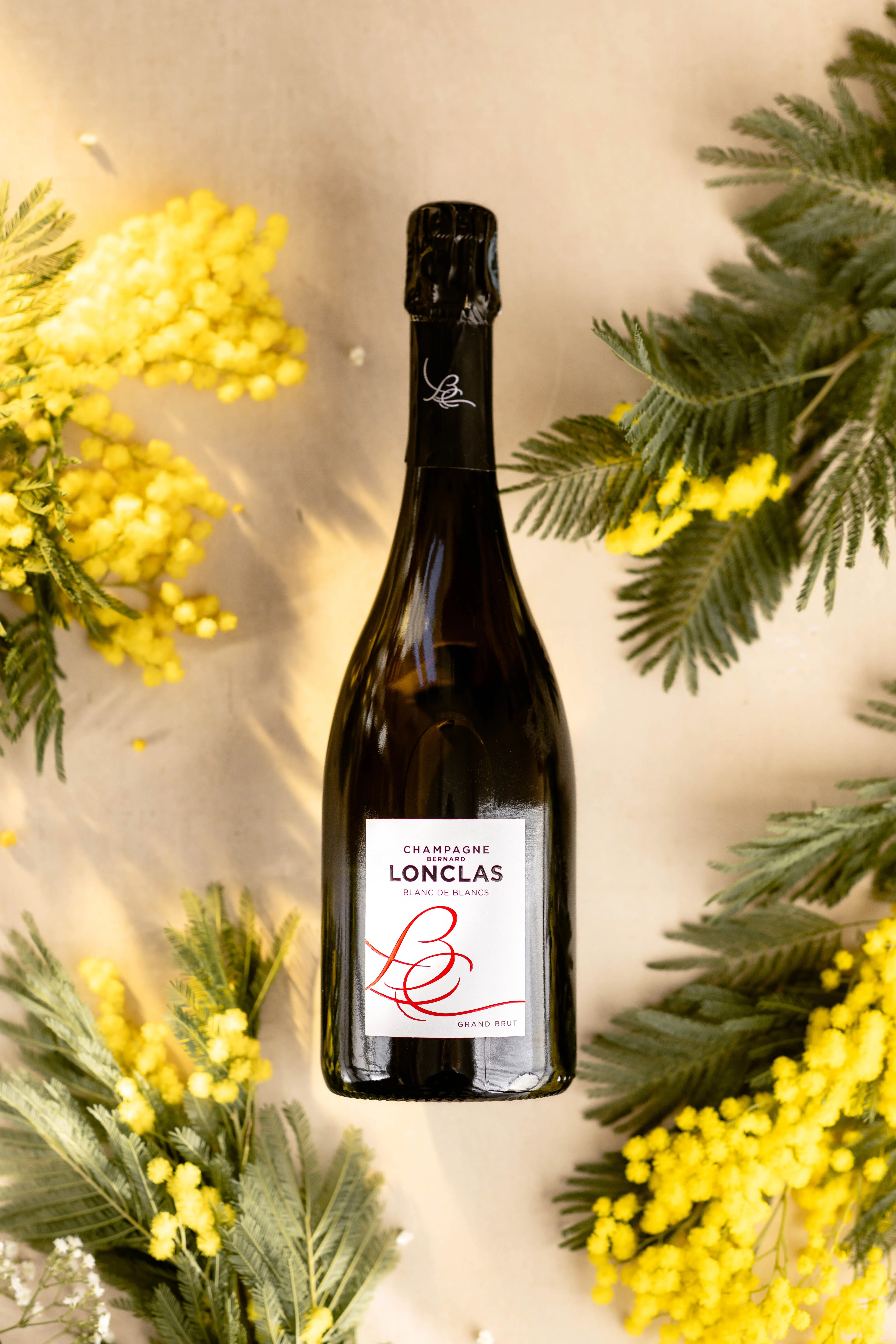 Champagne Grand Brut Blanc de Blancs