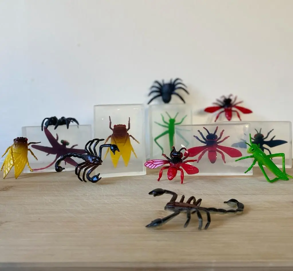 Savon jouet insecte