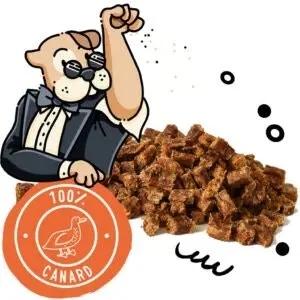 Duck Treats