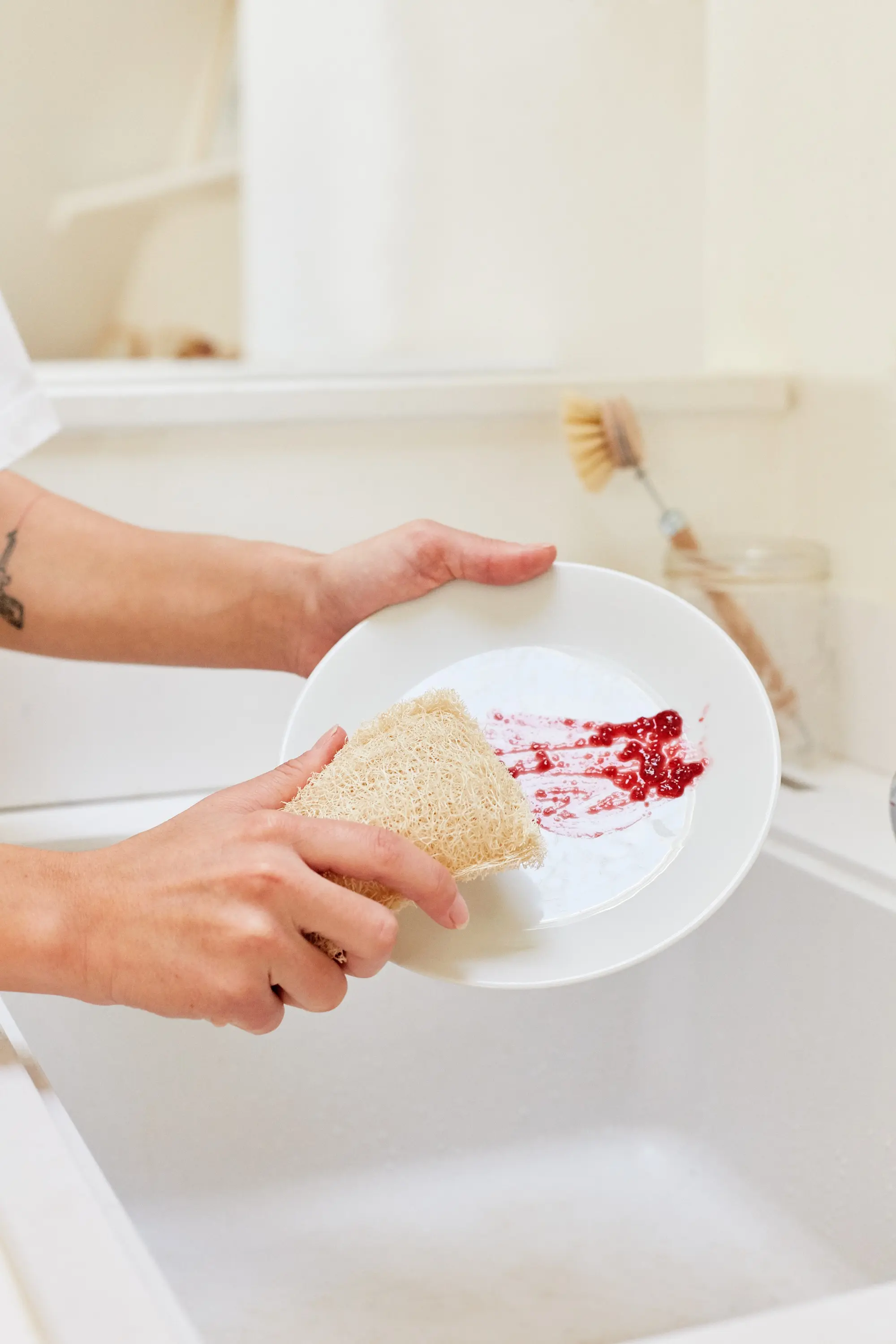 Sponge in Loofah