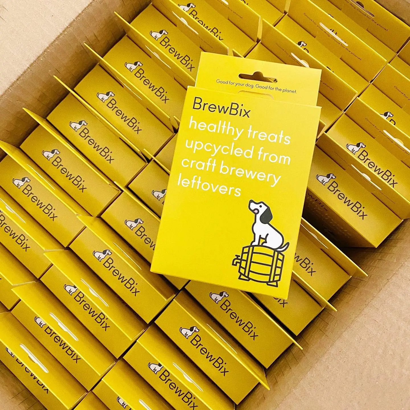 36x 100g BrewBix Erdnussbutter-Hundekekse-Box - 100g
