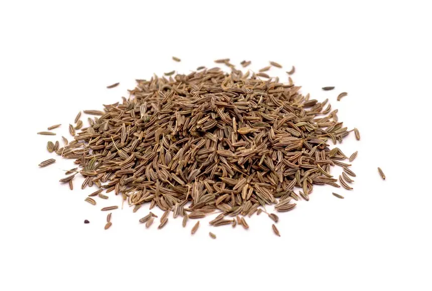 Bio-Getreidekümmel