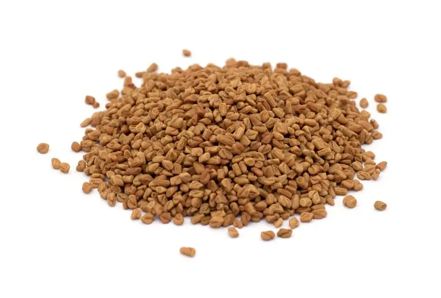 Bockshornkleesamen bio