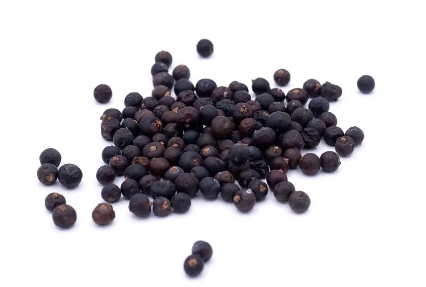 Bio-Wacholderbeeren