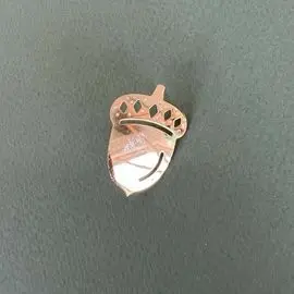 Acorn golden pin