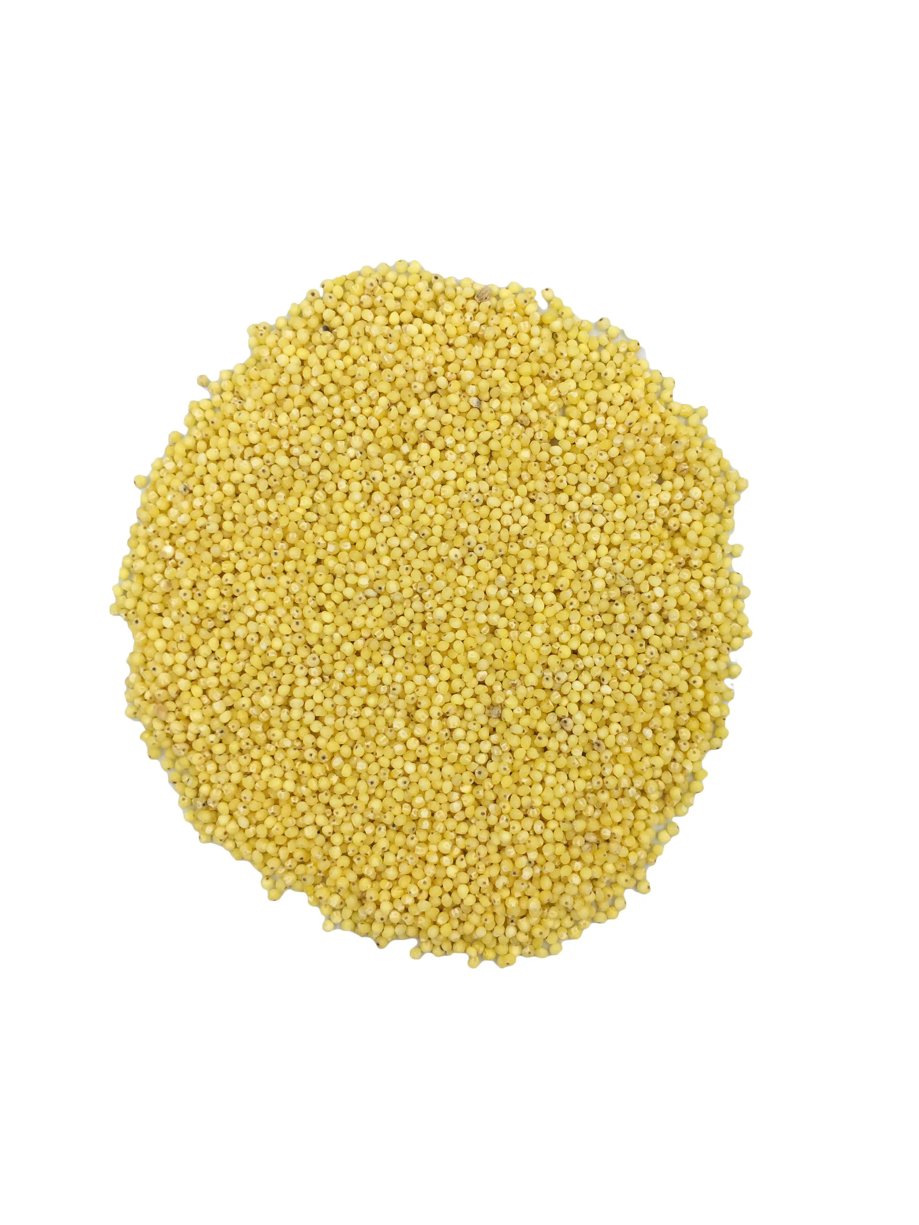 Millet décortiqué bio Sac 5kg