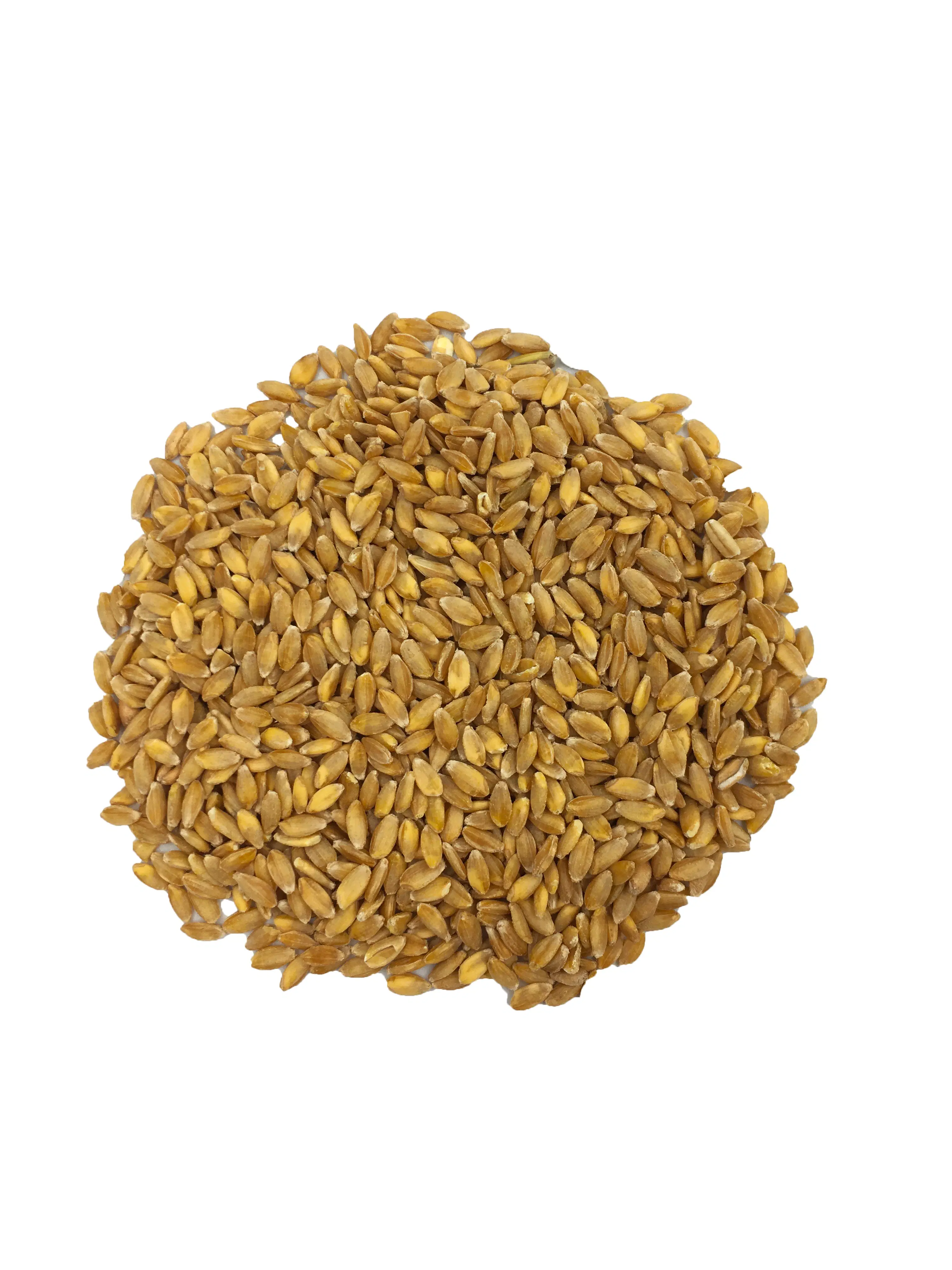 Geschälter Einkornweizen – Bio, 5-kg-Sack – Reich an Mineralstoffen