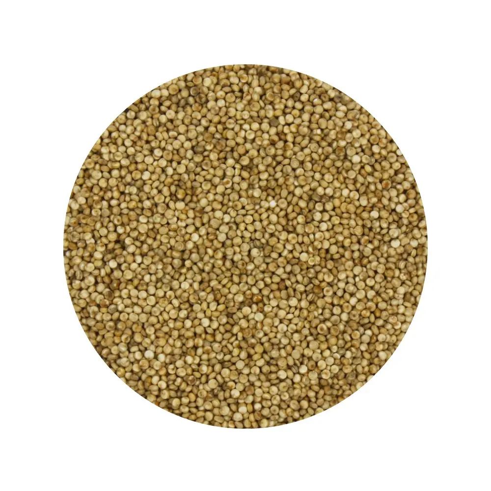 Quinoa – Bio, 5-kg-Beutel