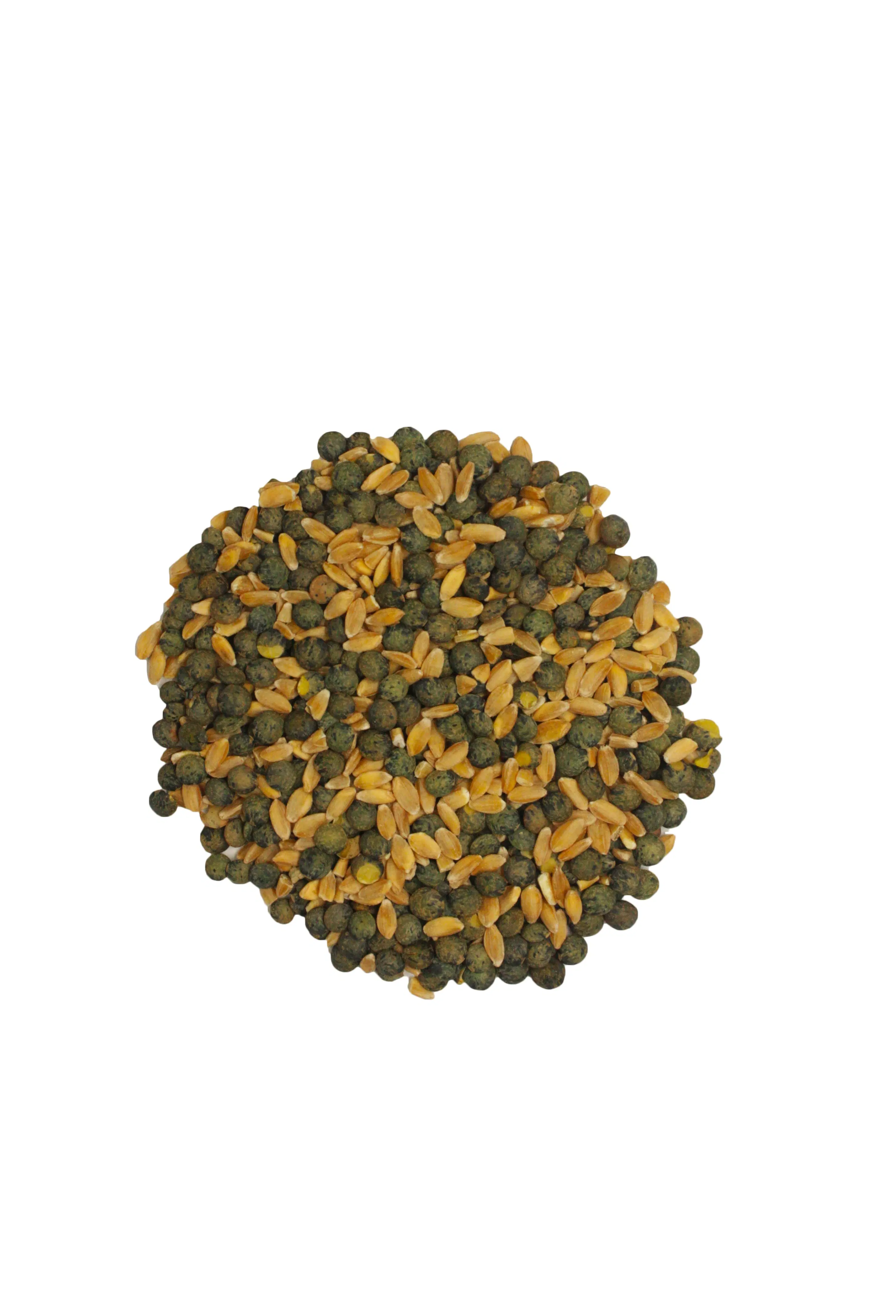 Geschälter Dinkel und grüne Linsen – Bio, 5-kg-Beutel – Protein und Mineralstoffe