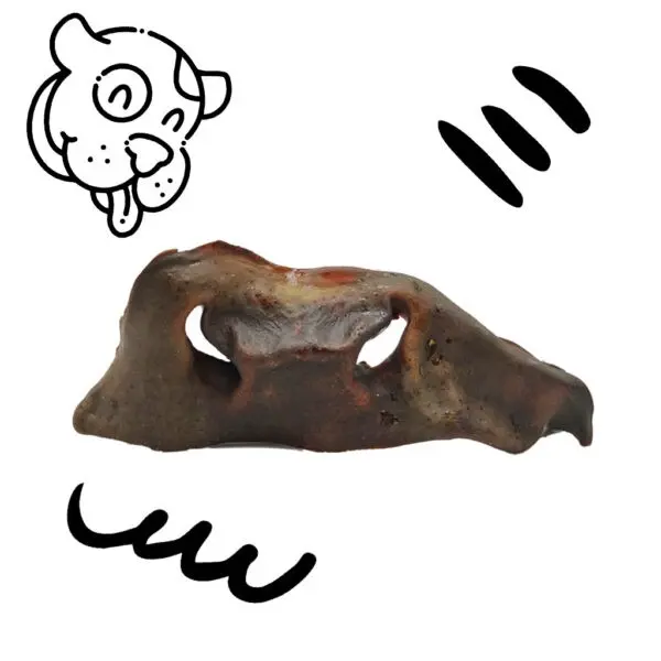 Dried Beef Muzzles - 1 kg