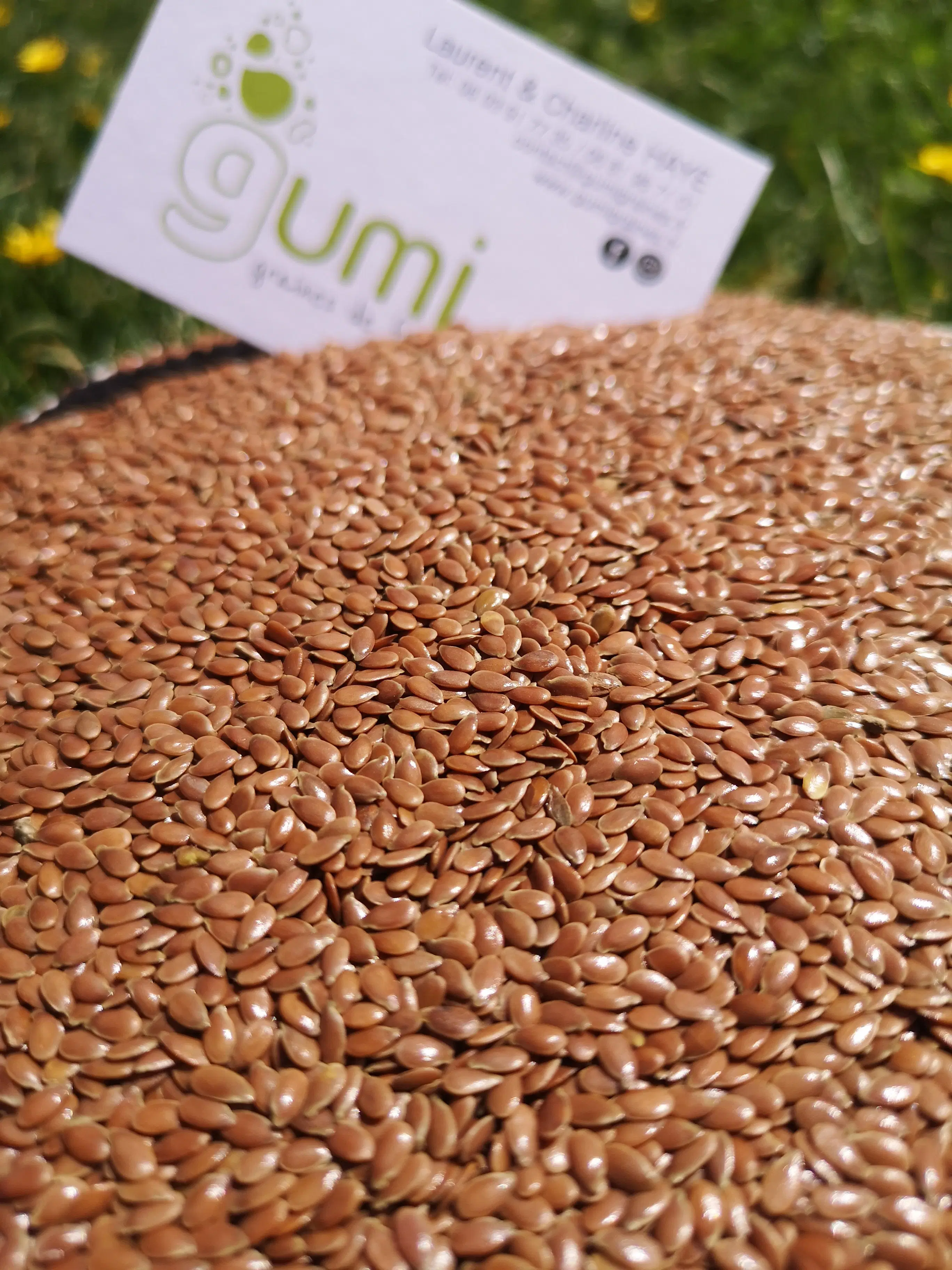 FLAXSEED KRAFT 500