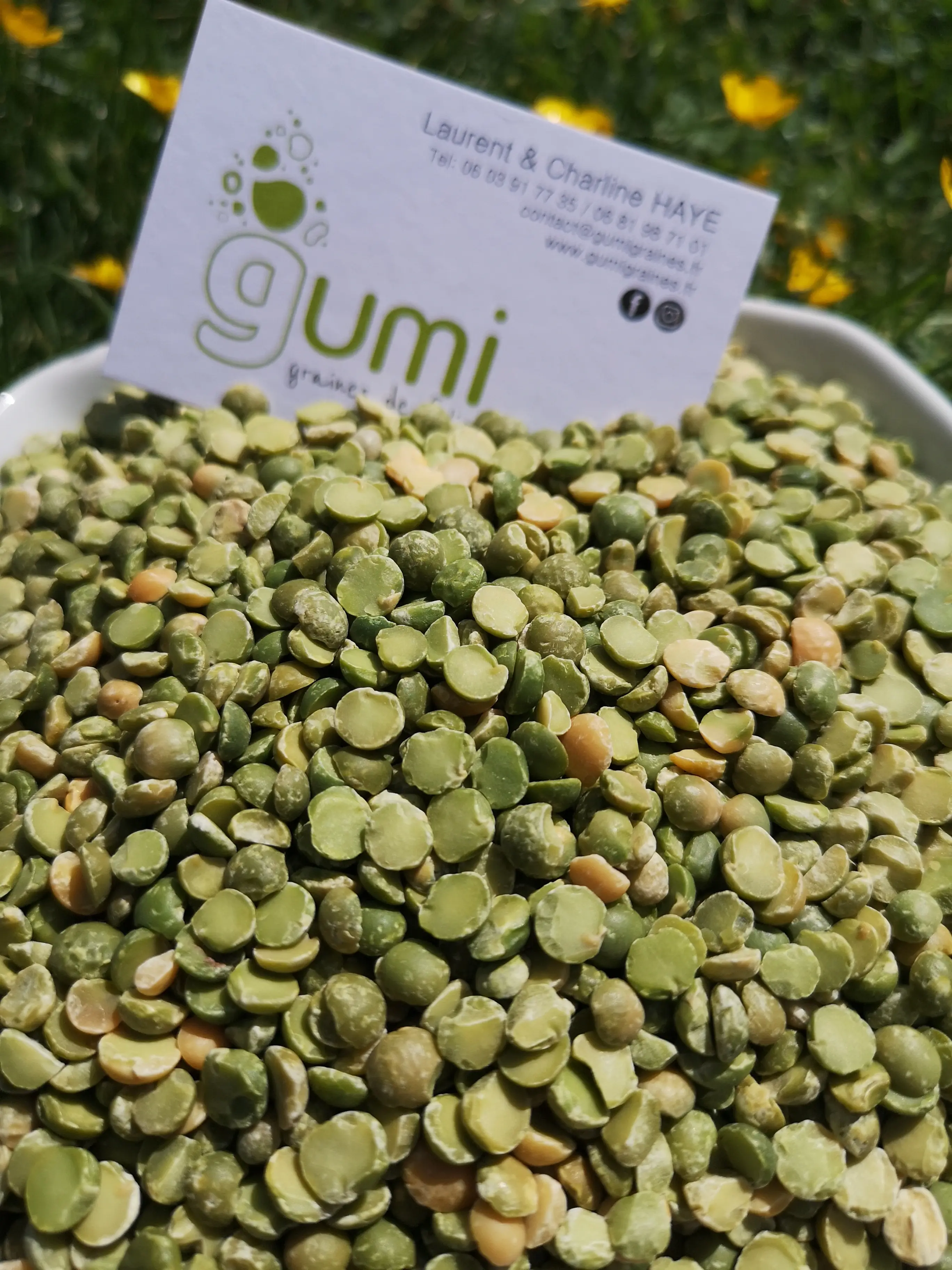 GREEN SPLIT PEAS BUCKET 10KG