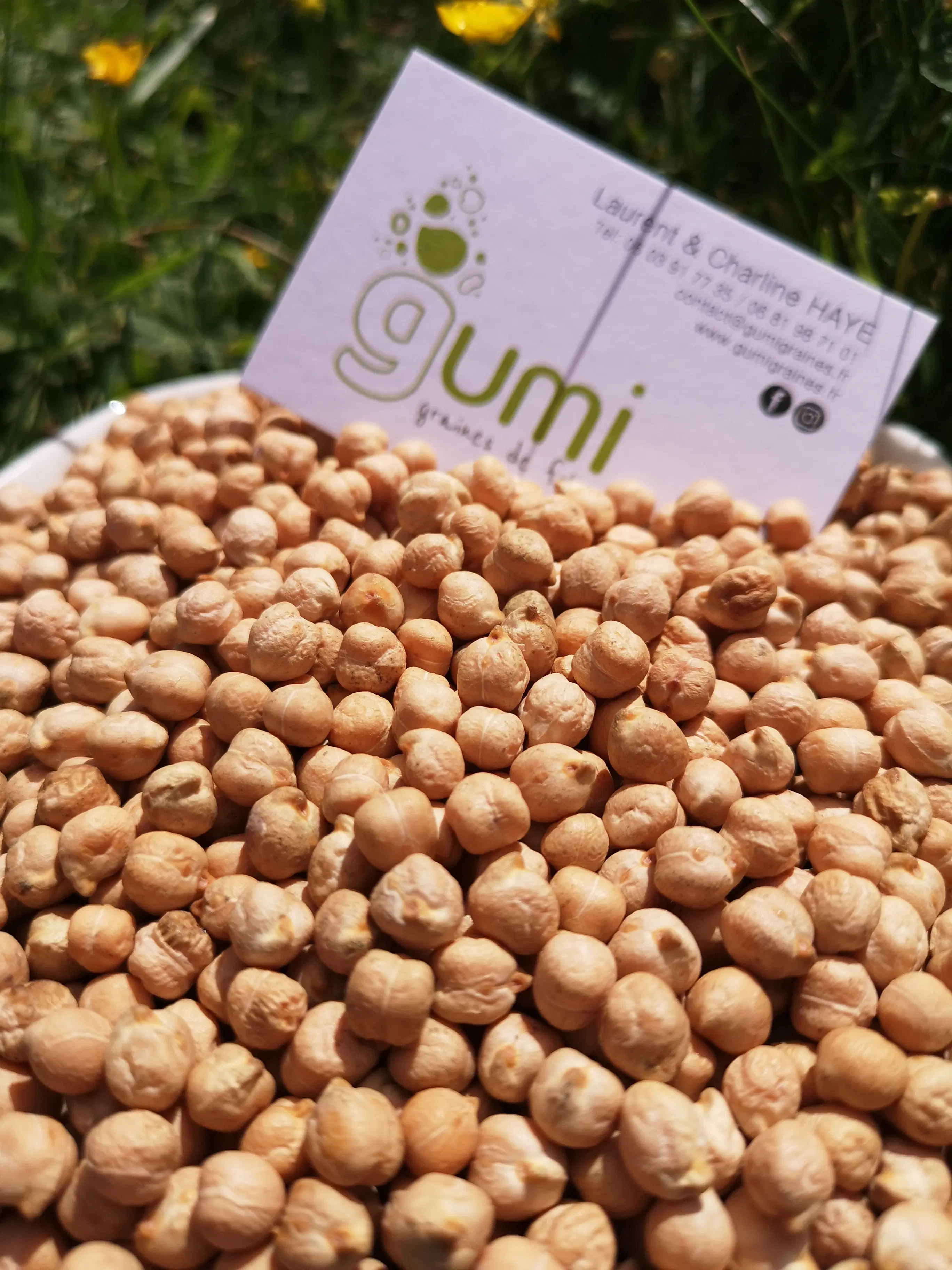 CHICKPEAS BUCKET 10KG