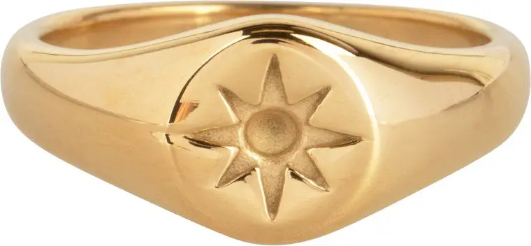 R1002 Mini Star Seal Gold Plated Steel Ring