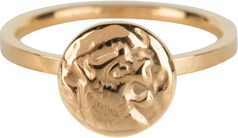 R629 Coin of power Gold Steel