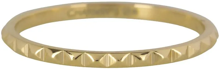 R403 GOLD 'STEEL NEFERTITI'