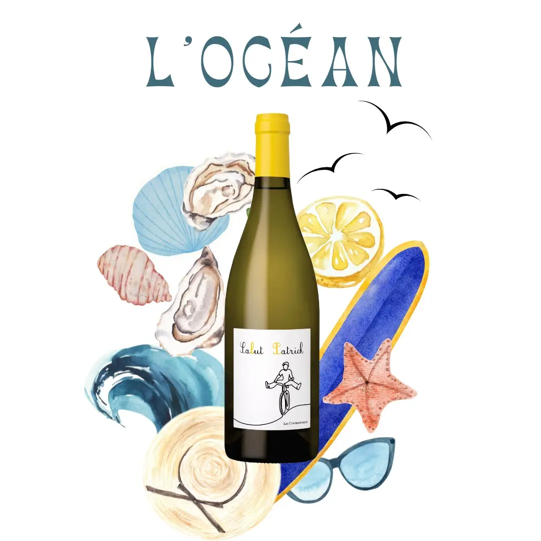 SALUT PATRICK 2024, Les contrepèteries Dry and fruity white, Sauvignon blanc and gris