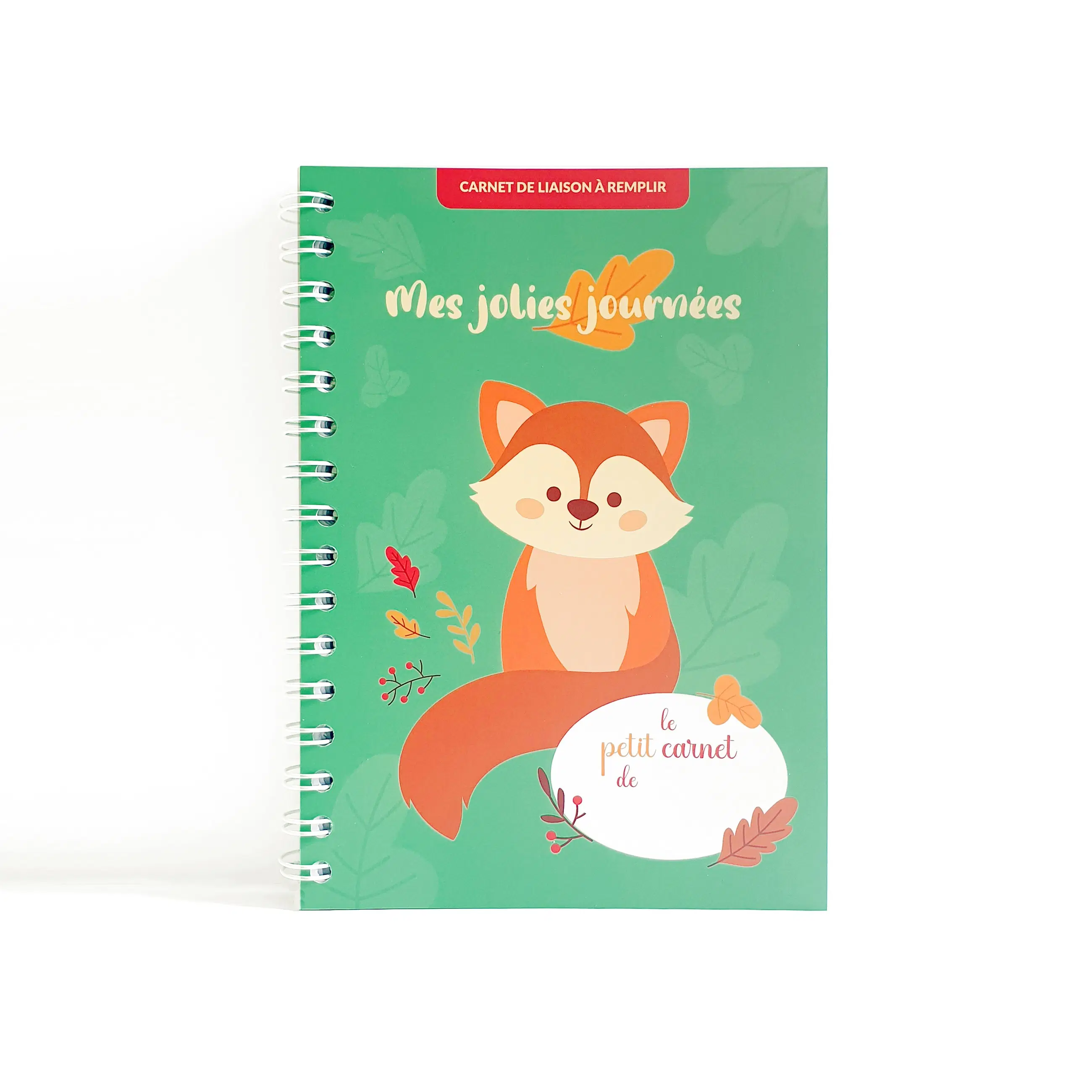 Liaison book - 240 days of follow-up