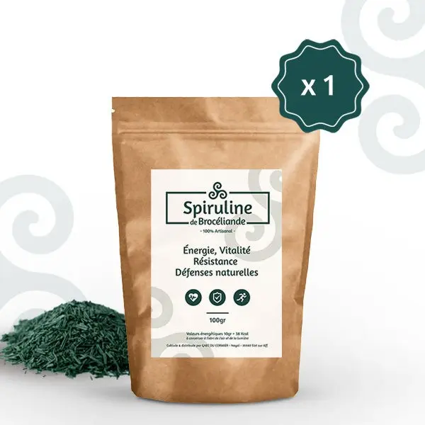 Sachet spirulina in flakes 100g