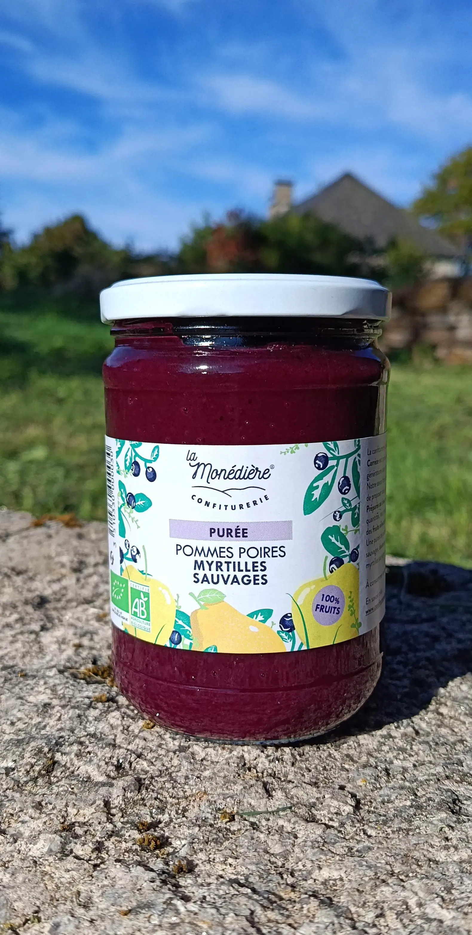 Apple/Pear/Wild Blueberry Puree 550g