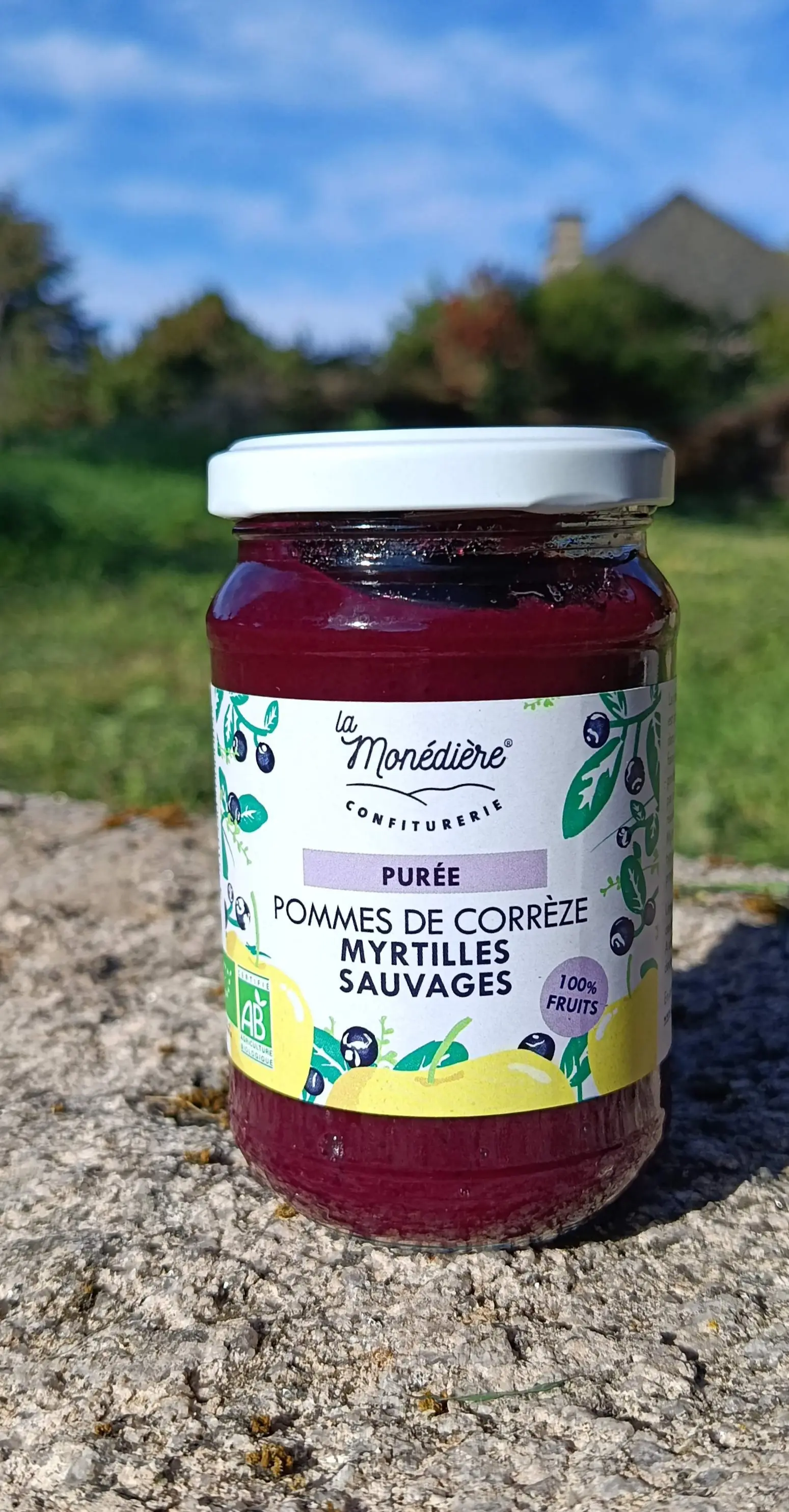 Apple and Wild Blueberry Puree 300g