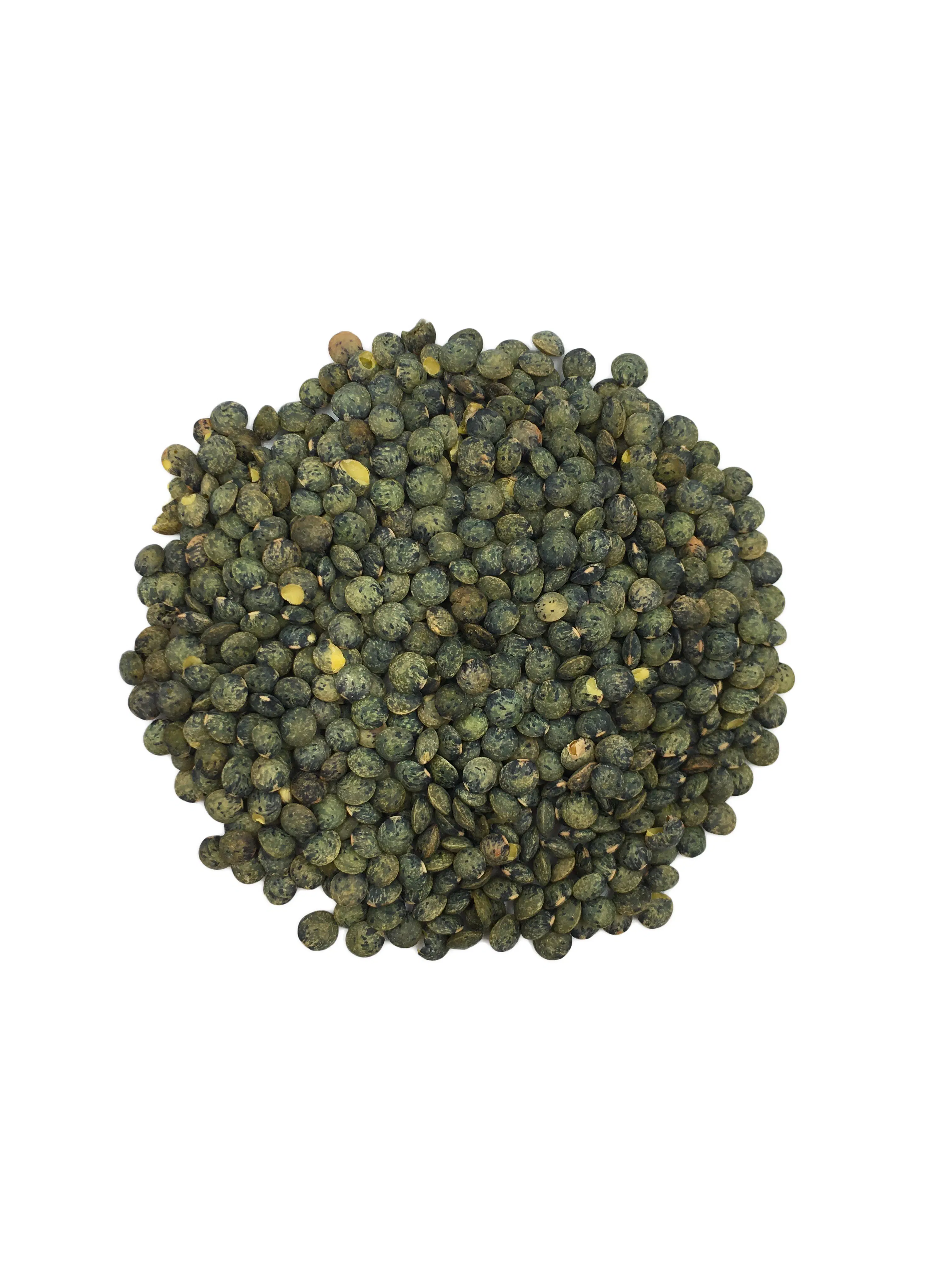 Grüne Linsen – Bio, 5 kg – Reich an Protein
