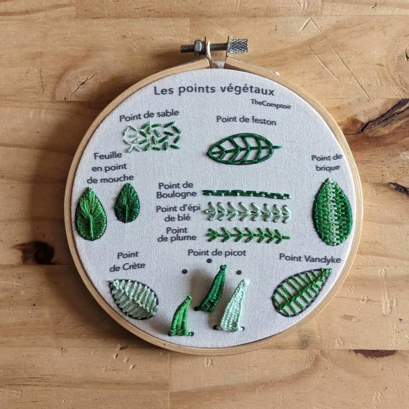 embroidery kit - plant stitches
