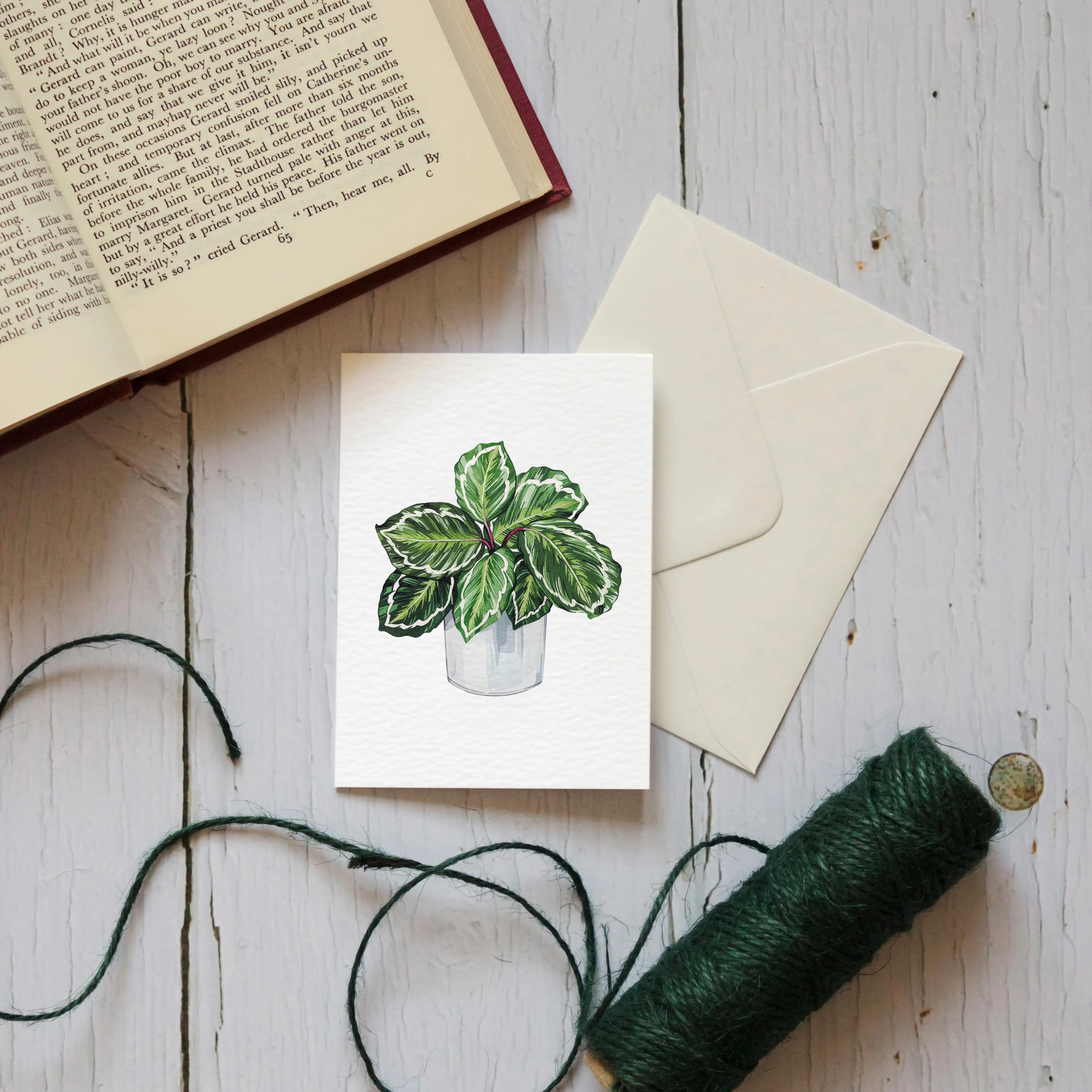 Mini House Plant Watercolour Sustainable Greetings Card
