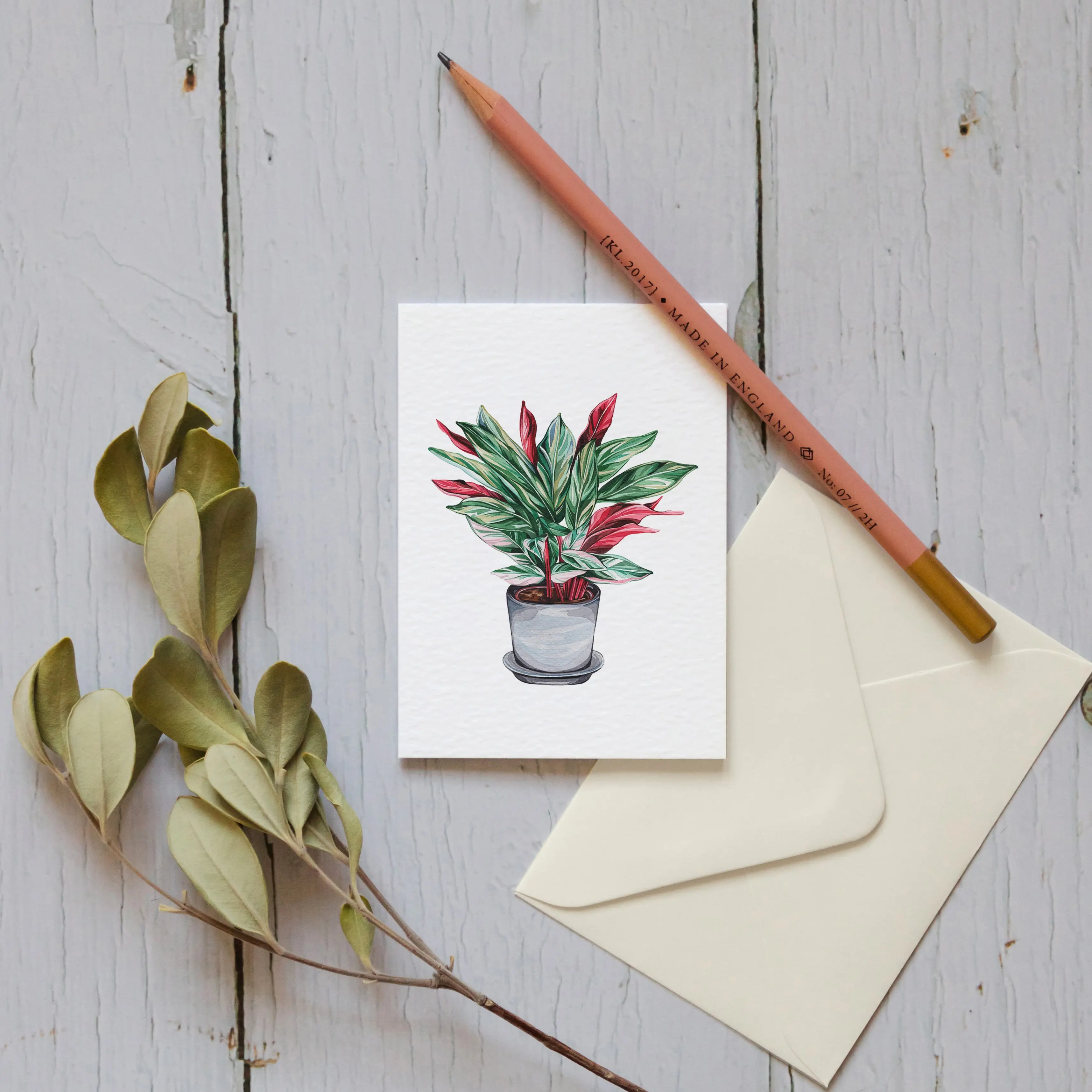 Mini House Plant Watercolour Sustainable Greetings Card