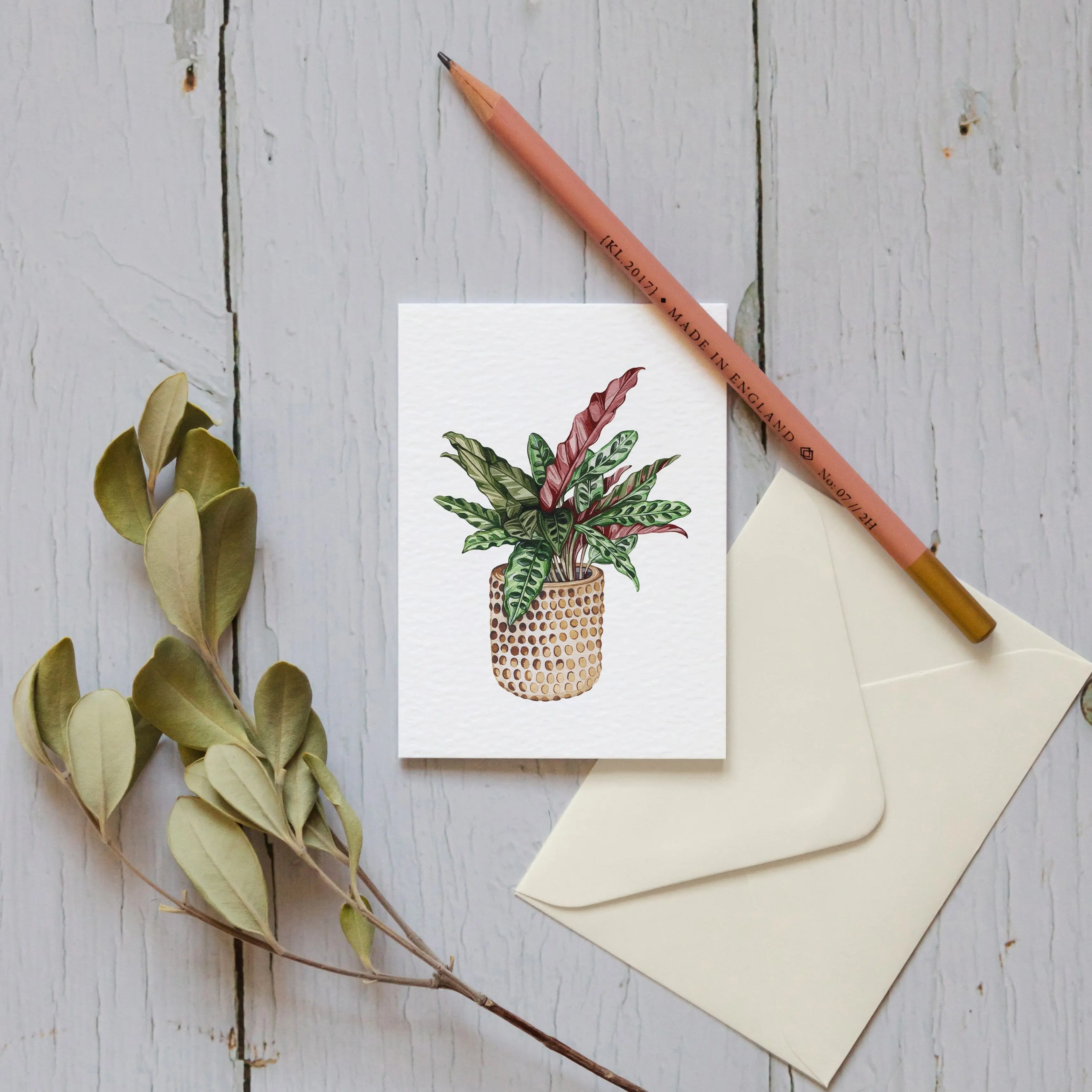 Mini House Plant Watercolour Sustainable Greetings Card