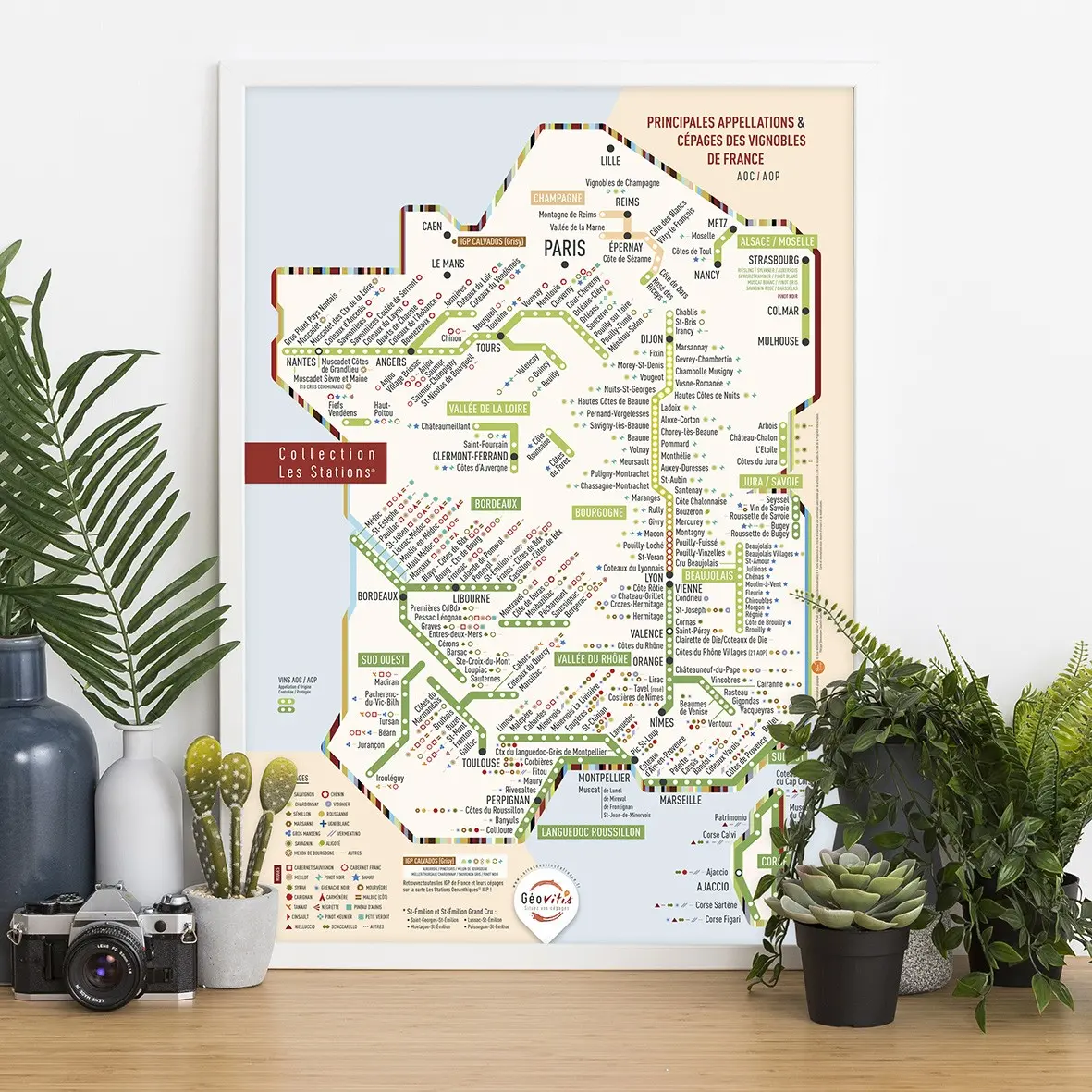 AOC/AOP wine poster & grape varieties 30x40 - Original version